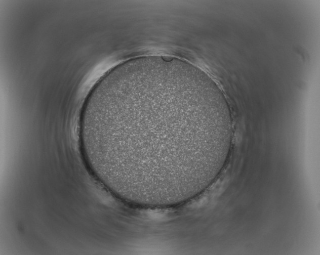 X0000113240103200910081306