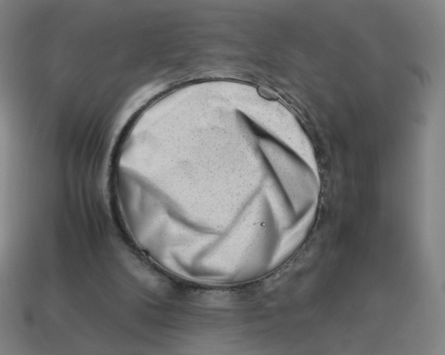 X0000113240104200910081306