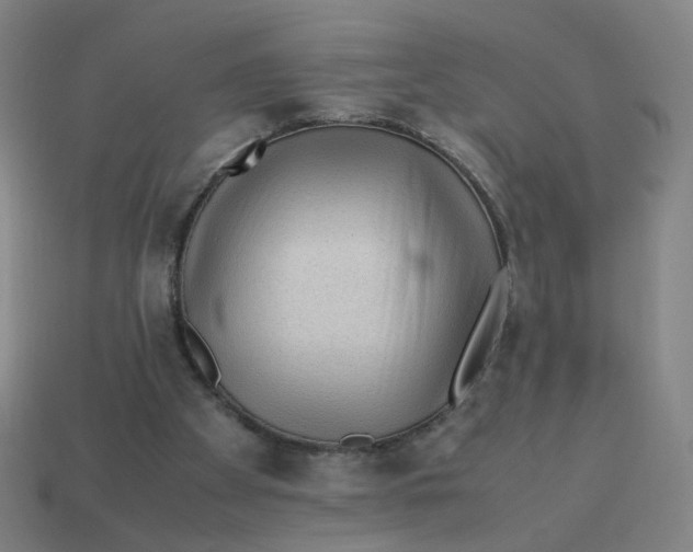 X0000113240105200910081306