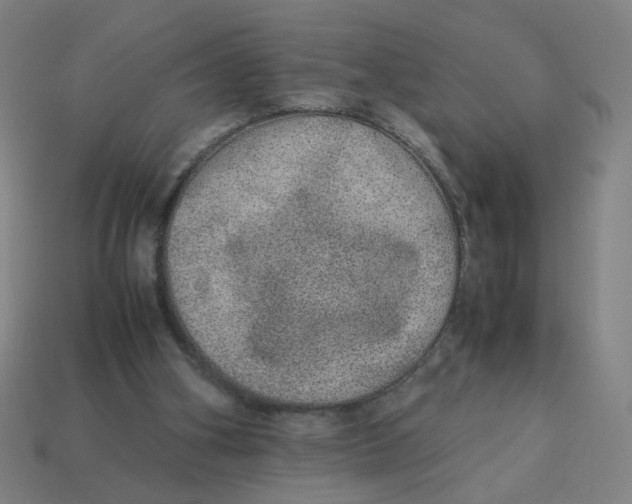 X0000113240106200910081306