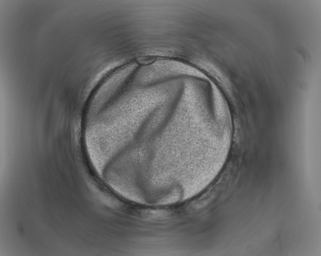 X0000113240107200910081306