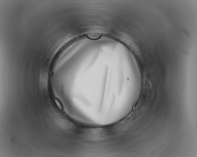 X0000113240108200910081306