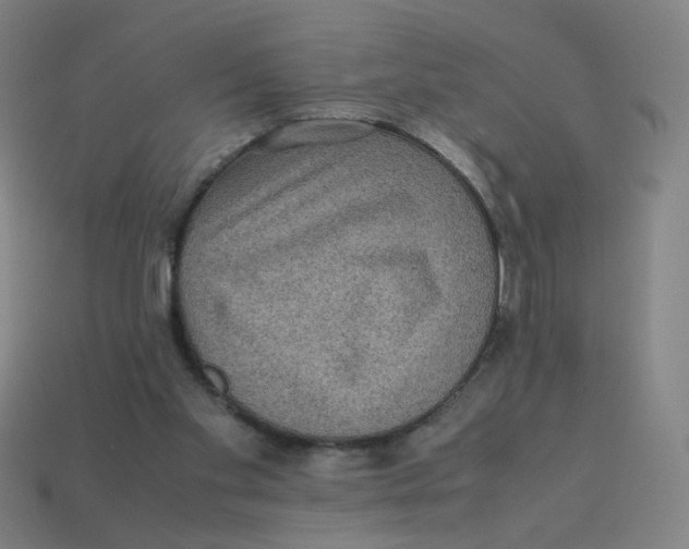 X0000113240109200910081306