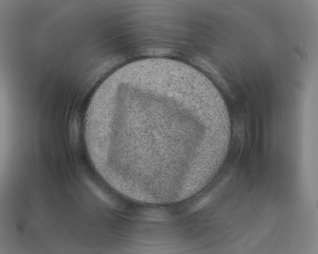 X0000113240110200910081306