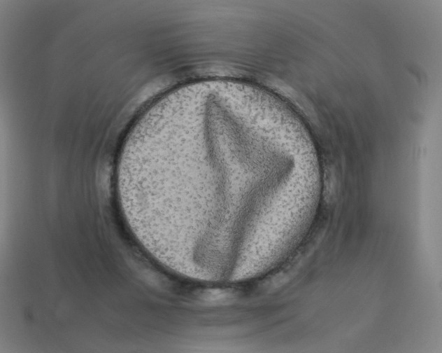 X0000113240111200910081306
