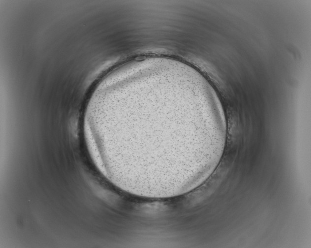 X0000113240112200910081306