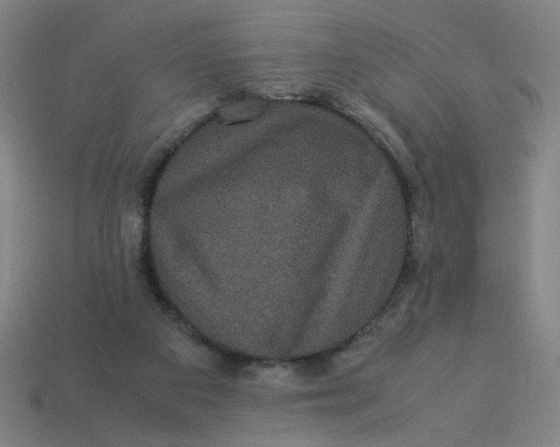 X0000113240113200910081306