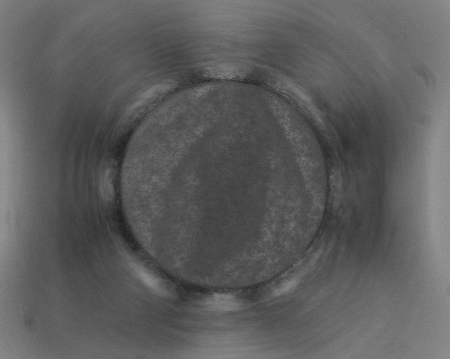 X0000113240114200910081306