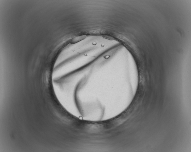 X0000113240115200910081306