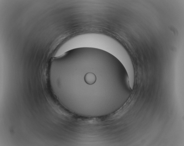 X0000113240116200910081306