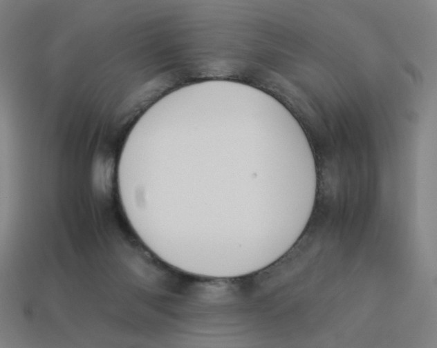 X0000113240118200910081306