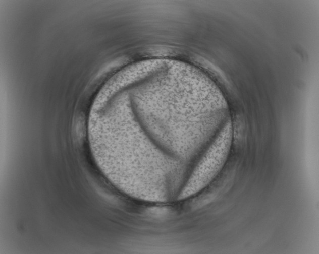 X0000113240119200910081306