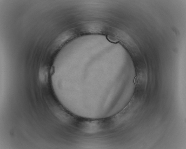 X0000113240120200910081306