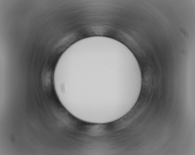 X0000113240122200910081306