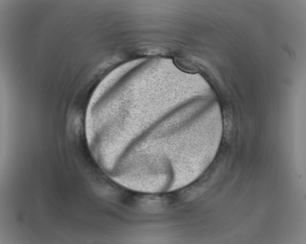 X0000113240123200910081306