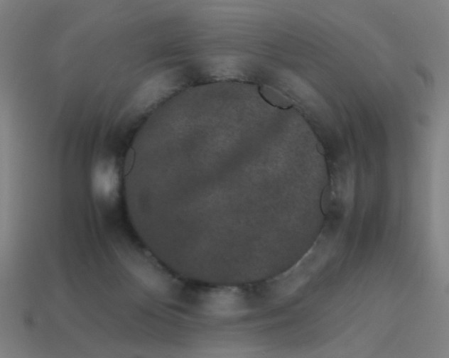 X0000113240124200910081306