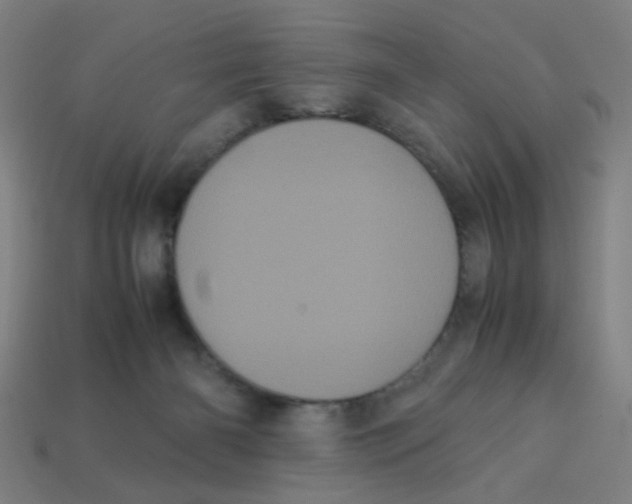 X0000113240126200910081306