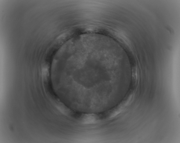 X0000113240127200910081306