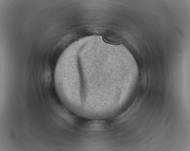 X0000113240128200910081306