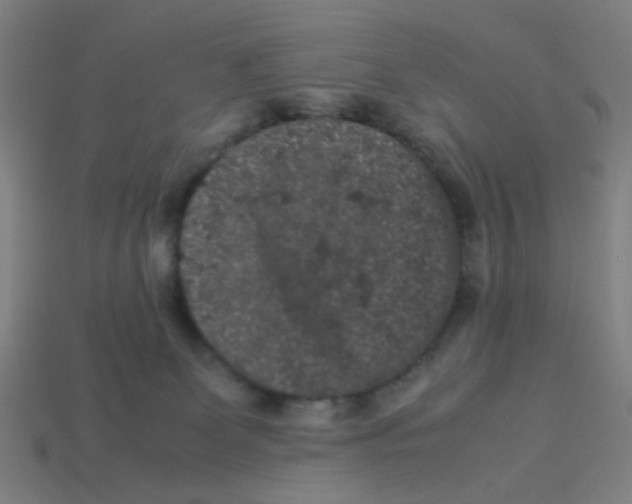 X0000113240131200910081306