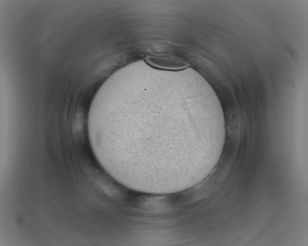 X0000113240132200910081306