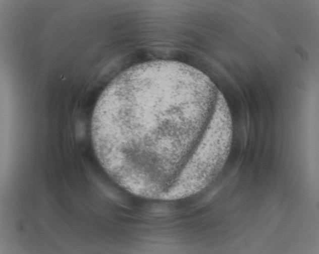 X0000113240134200910081306