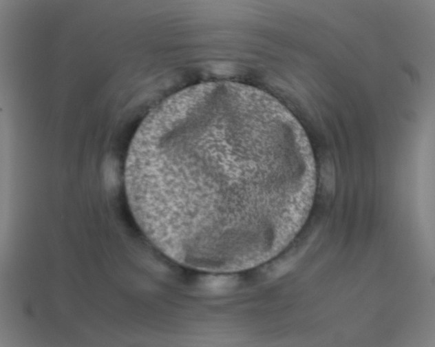 X0000113240135200910081305