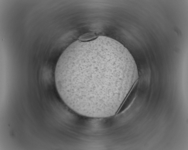 X0000113240136200910081305
