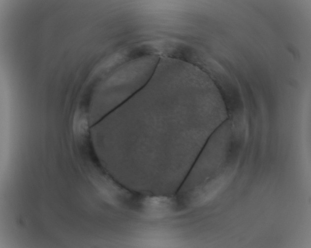 X0000113240137200910081305