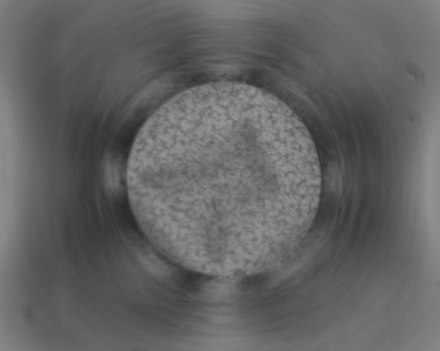 X0000113240138200910081305