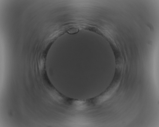 X0000113240139200910081305