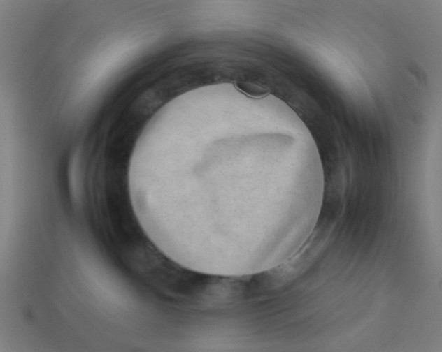 X0000113240140200910081305
