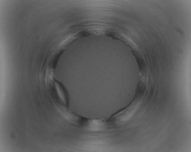 X0000113240141200910081305
