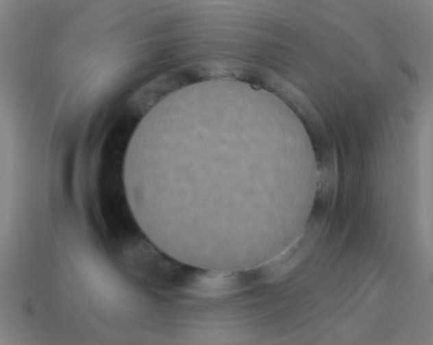 X0000113240142200910081305