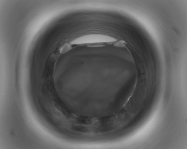 X0000113240143200910081305