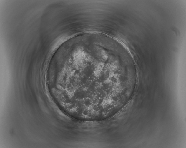 X0000113240145200910081305