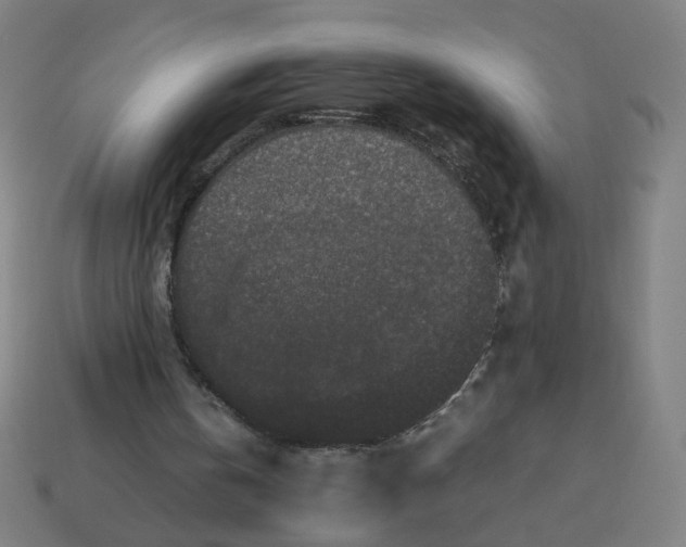 X0000113240146200910081305