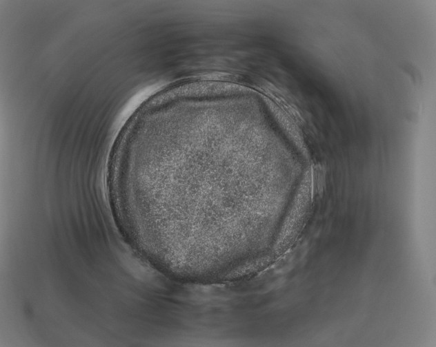 X0000113240147200910081305