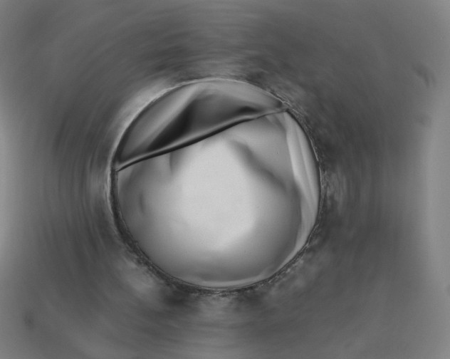 X0000113240148200910081305