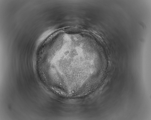X0000113240149200910081305