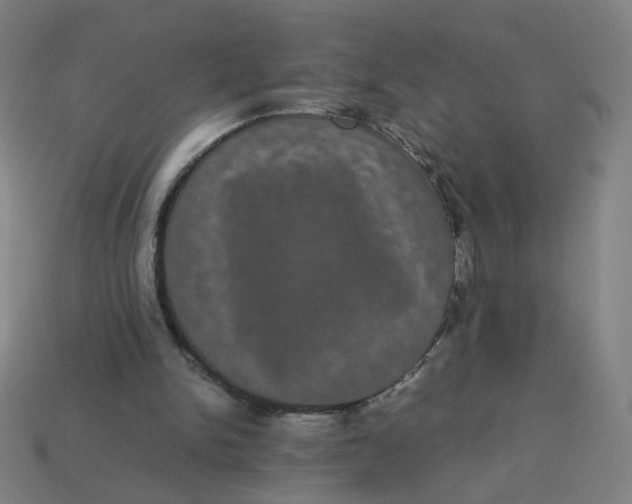 X0000113240150200910081305