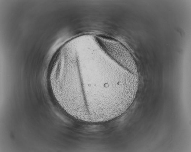 X0000113240151200910081305