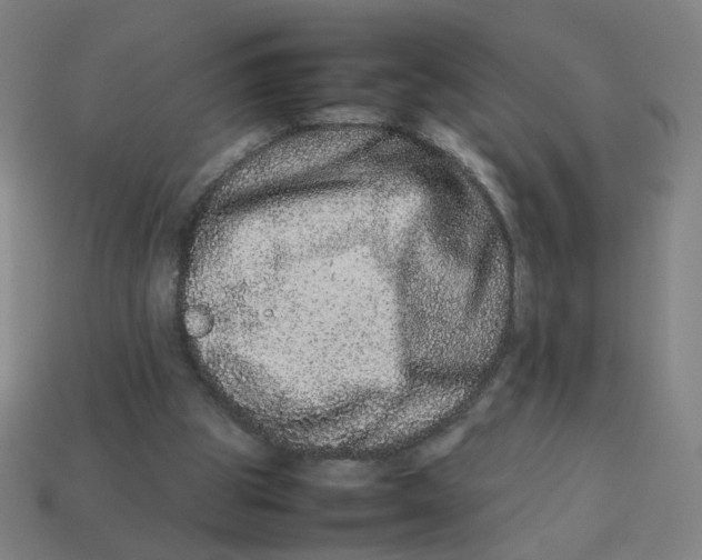 X0000113240153200910081305
