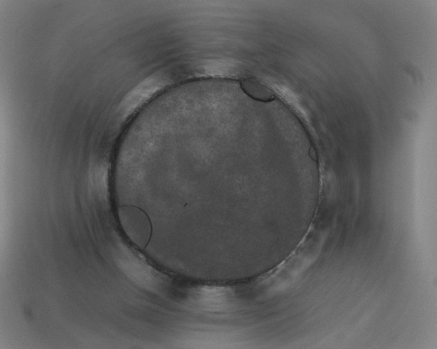 X0000113240154200910081305