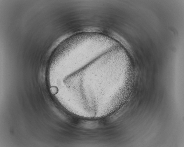 X0000113240155200910081305