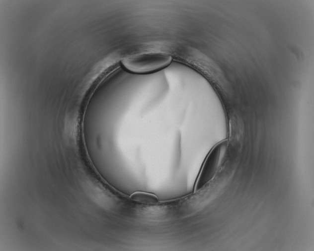 X0000113240156200910081305