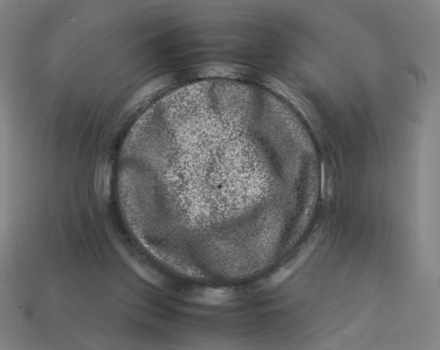 X0000113240157200910081305