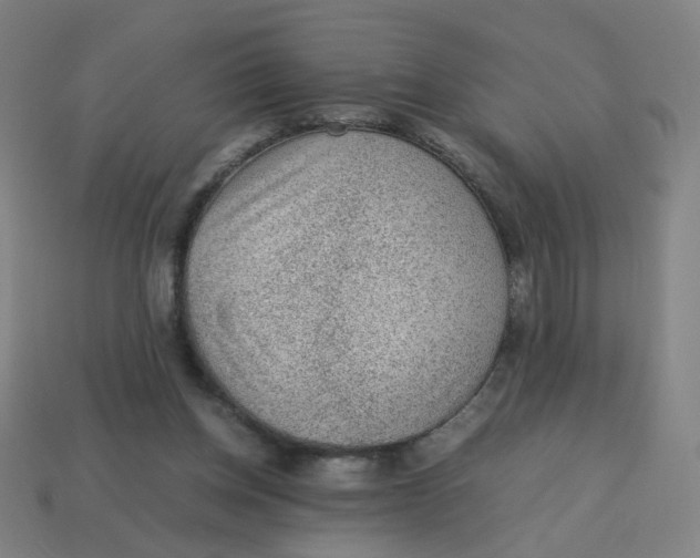 X0000113240158200910081305