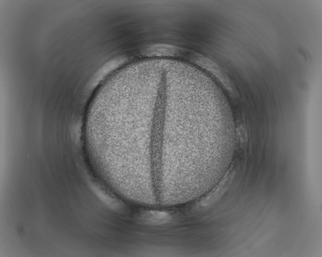 X0000113240159200910081305