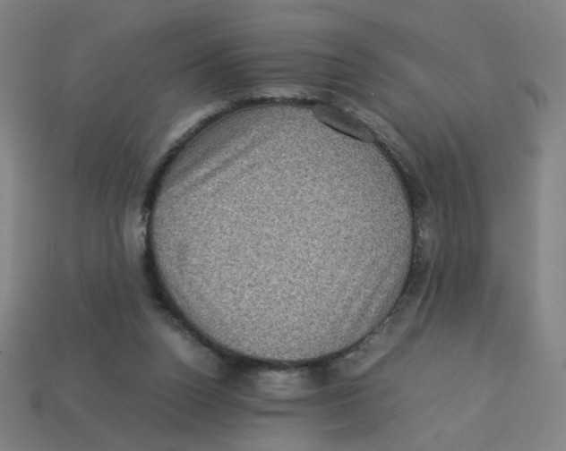 X0000113240160200910081305